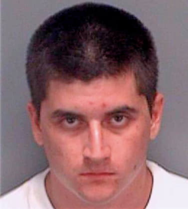 Armijo William - Pinellas County, FL 