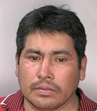 Martinez Abel - Hillsborough County, FL 