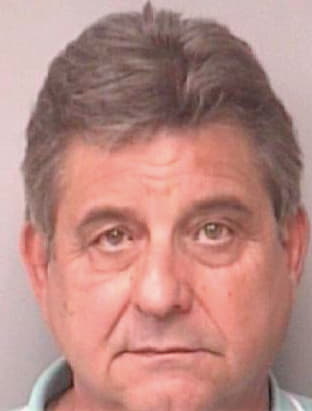 Diroma David - Pinellas County, FL 