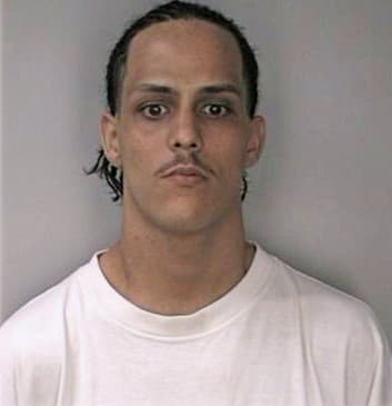 Hernandez Edwin - Hillsborough County, FL 