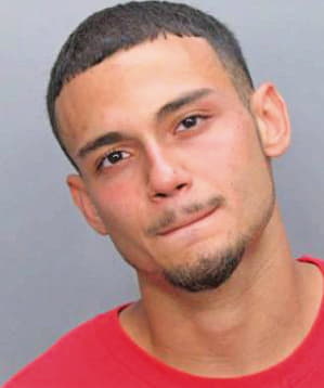 Gonzalez Jorge - Dade County, FL 
