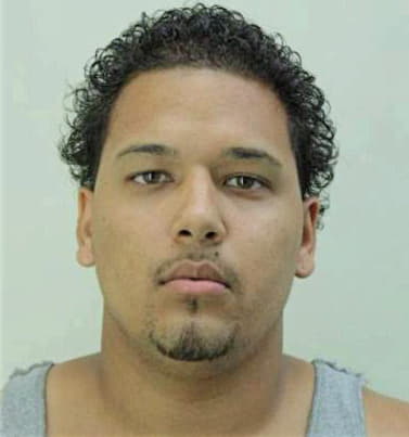 Landronsanchez Julio - Hillsborough County, FL 