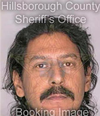 Trevino Lionel - Hillsborough County, FL 