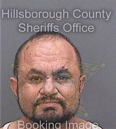 Parikshak Paresh - Hillsborough County, FL 