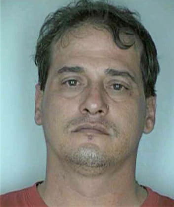 Linares Steven - Hillsborough County, FL 