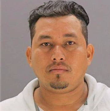 Ramos Guillermo - Dallas County, TX 