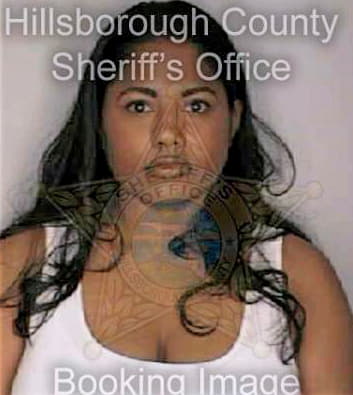 Ramnath Omrani - Hillsborough County, FL 