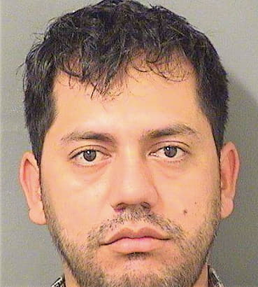Picadogonzalez Roberto - PalmBeach County, FL 