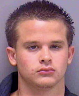 Guptill Ryan - Lee County, FL 