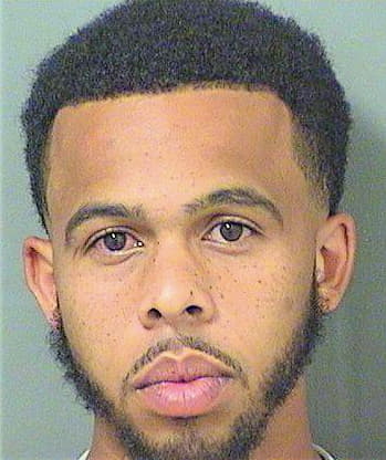 Johnson Skylar - PalmBeach County, FL 