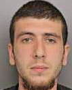 Hanson Steven - Greenville County, SC 