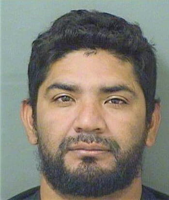 Artigaescobar Carlos - PalmBeach County, FL 