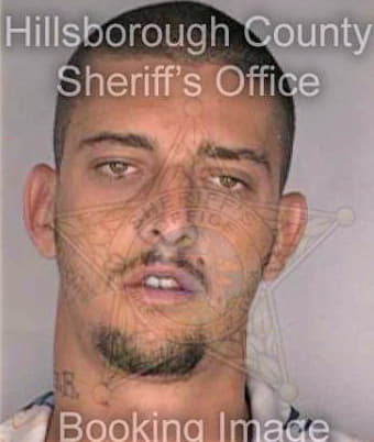Davis Christopher - Hillsborough County, FL 