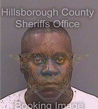 Robinson Dennis - Hillsborough County, FL 