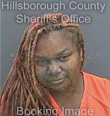 Hospedales Jamey - Hillsborough County, FL 