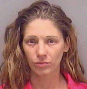 Hoshor Stormy - Lee County, FL 
