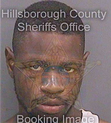Howard Tevin - Hillsborough County, FL 
