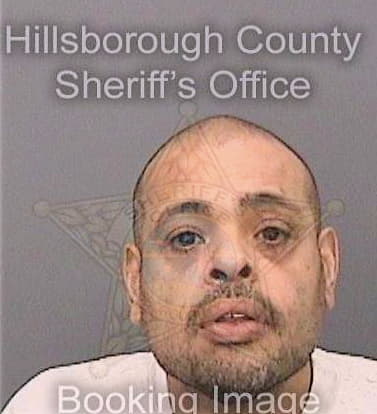 Quinones Daniel - Hillsborough County, FL 