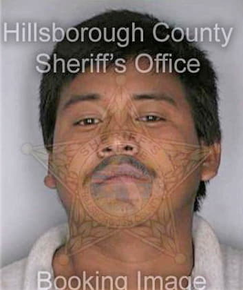 Robleroroblero Roberto - Hillsborough County, FL 