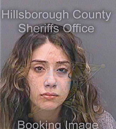 Camilo Celine - Hillsborough County, FL 