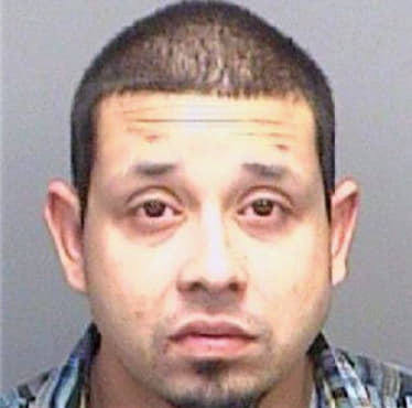 Johnson Christopher - Pinellas County, FL 