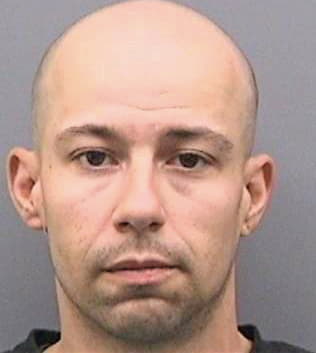 Hammonds David - Hillsborough County, FL 