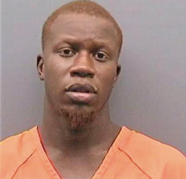 Robinson Dennis - Hillsborough County, FL 