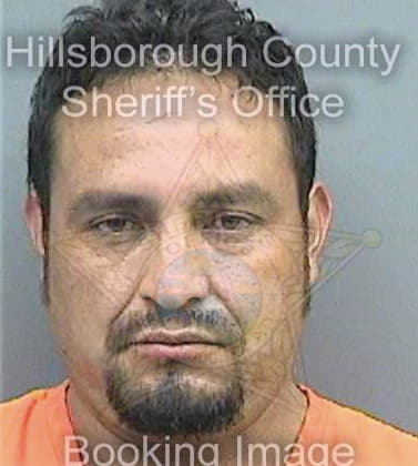 Alanisvelasquez Maximino - Hillsborough County, FL 