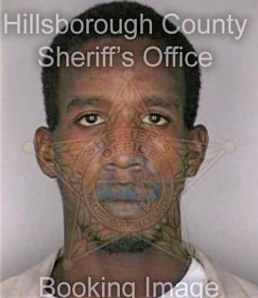 Watson David - Hillsborough County, FL 