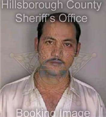 Nguyen Dung - Hillsborough County, FL 