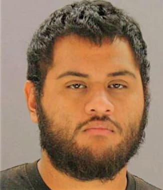 Ramos Felix - Dallas County, TX 
