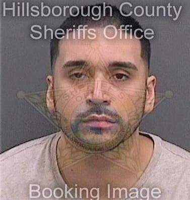 Medina Jonathan - Hillsborough County, FL 