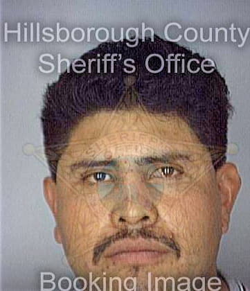Comacho Jose - Hillsborough County, FL 