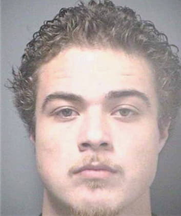 Larsen Robert - Hillsborough County, FL 