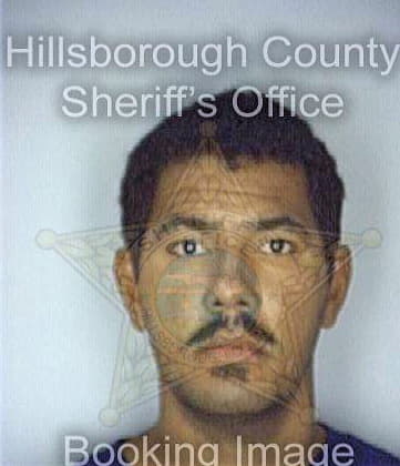 Solis Alisbey - Hillsborough County, FL 