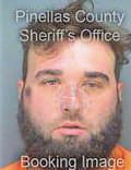 Mcaleenan Arthur - Pinellas County, FL 