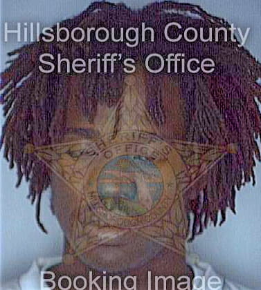 Simmons Brian - Hillsborough County, FL 