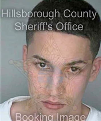 Lopez Haldo - Hillsborough County, FL 