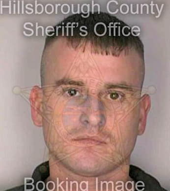 Dickerson James - Hillsborough County, FL 