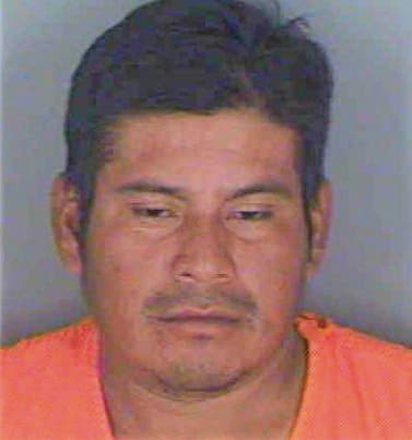 Mateo Juan - Collier County, FL 