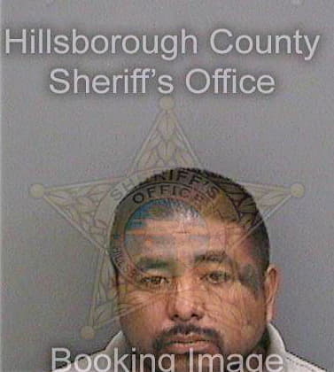 Bautistahernandez Manuel - Hillsborough County, FL 