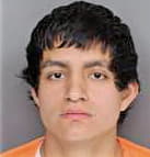 Campas Andres - Greenville County, SC 