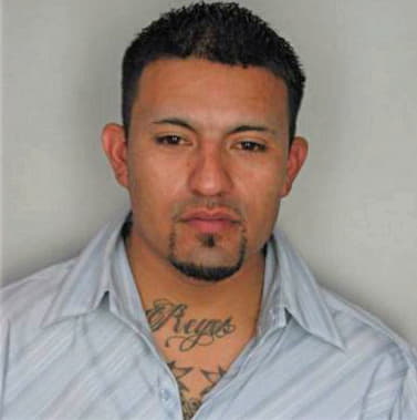 Reyes Fernando - Hillsborough County, FL 