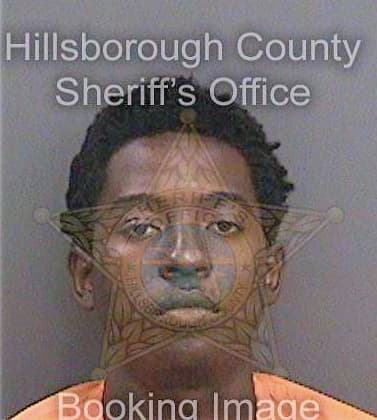 Hayes Trevor - Hillsborough County, FL 