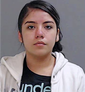 Castillo-Gonzalez Dania - Hidalgo County, TX 
