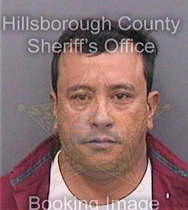 Guzman Luis - Hillsborough County, FL 