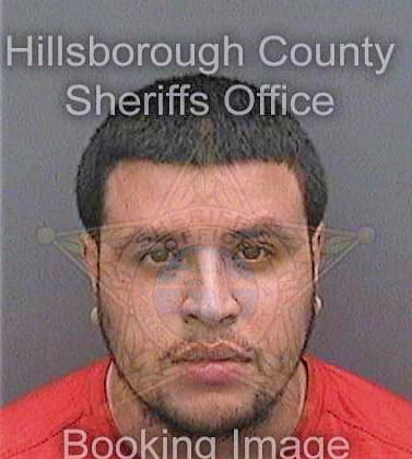 Otero Daniel - Hillsborough County, FL 