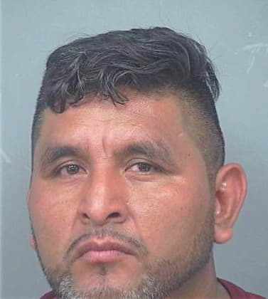 Alameda-Vazquez Fermin - Gwinnett County, GA 