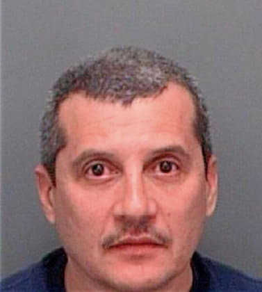 Santana Guillermo - Pinellas County, FL 