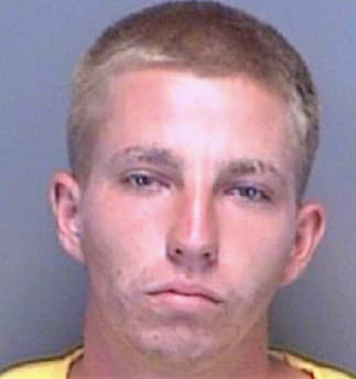 Pratt Nicholas - Pinellas County, FL 